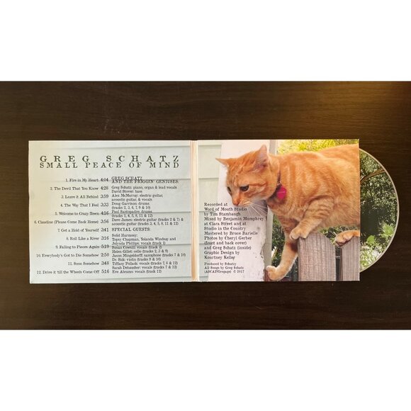 3 For $6 Greg Schatz : Small Peace Of Mind (CD, 2017) Promo Hot Spazz Records - Picture 2 of 4